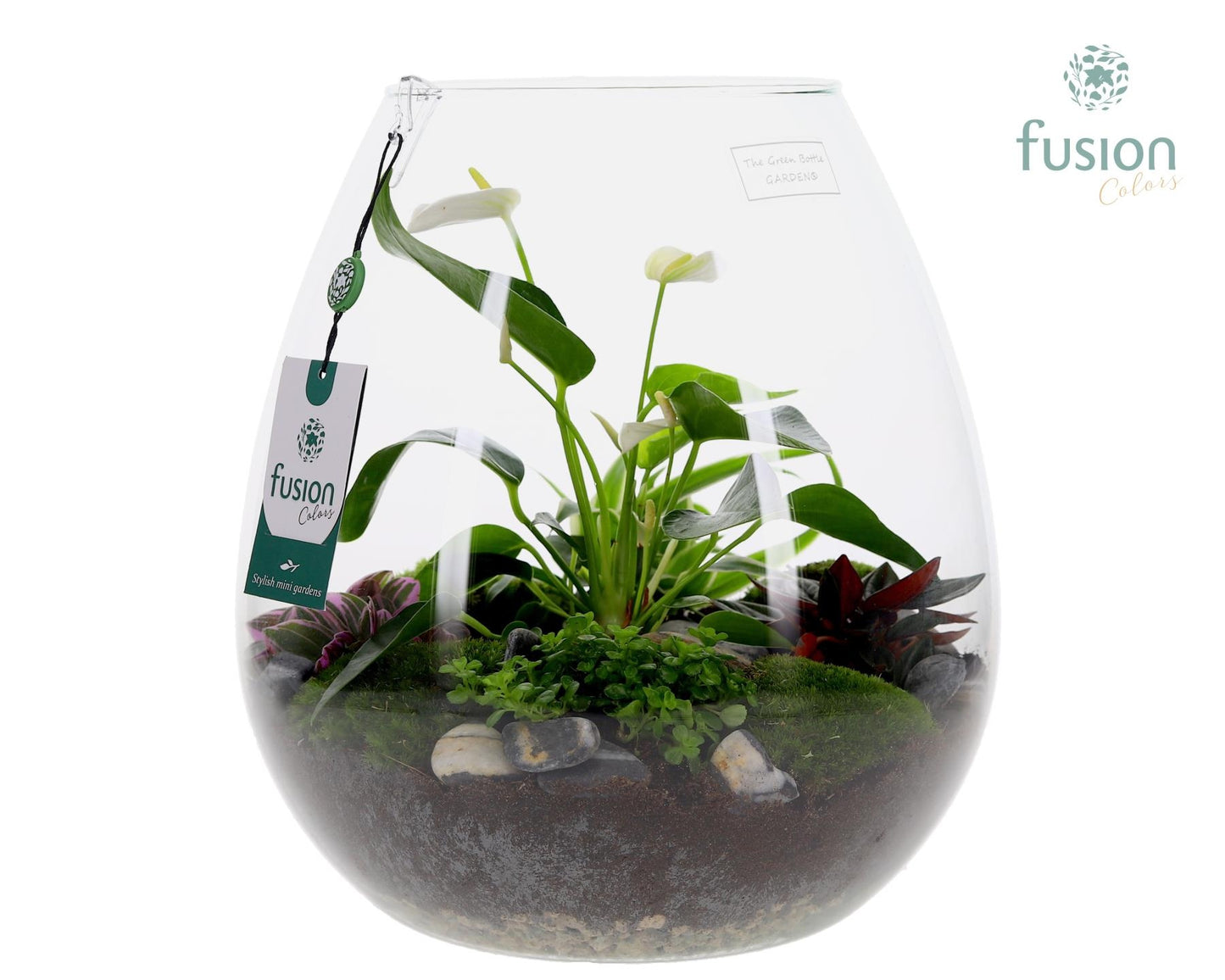 Fusioncolors BV Green Bottle Abby XLarge met Anthurium arrangement Pack of 1