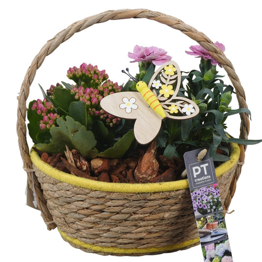 Outdoor arrangement 25cm 20cm Pot