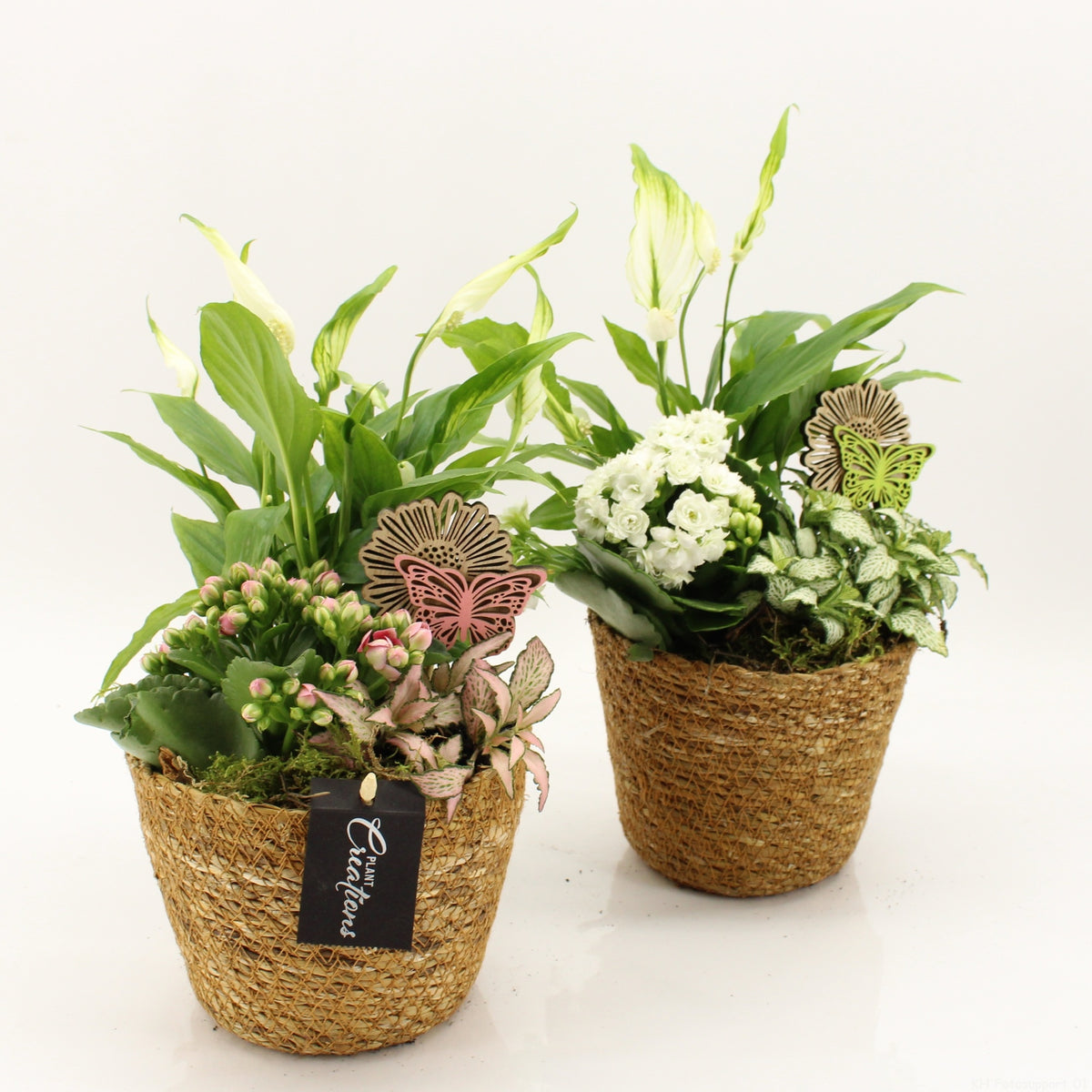 PROMO-A2601 30cm 14cm Pot
