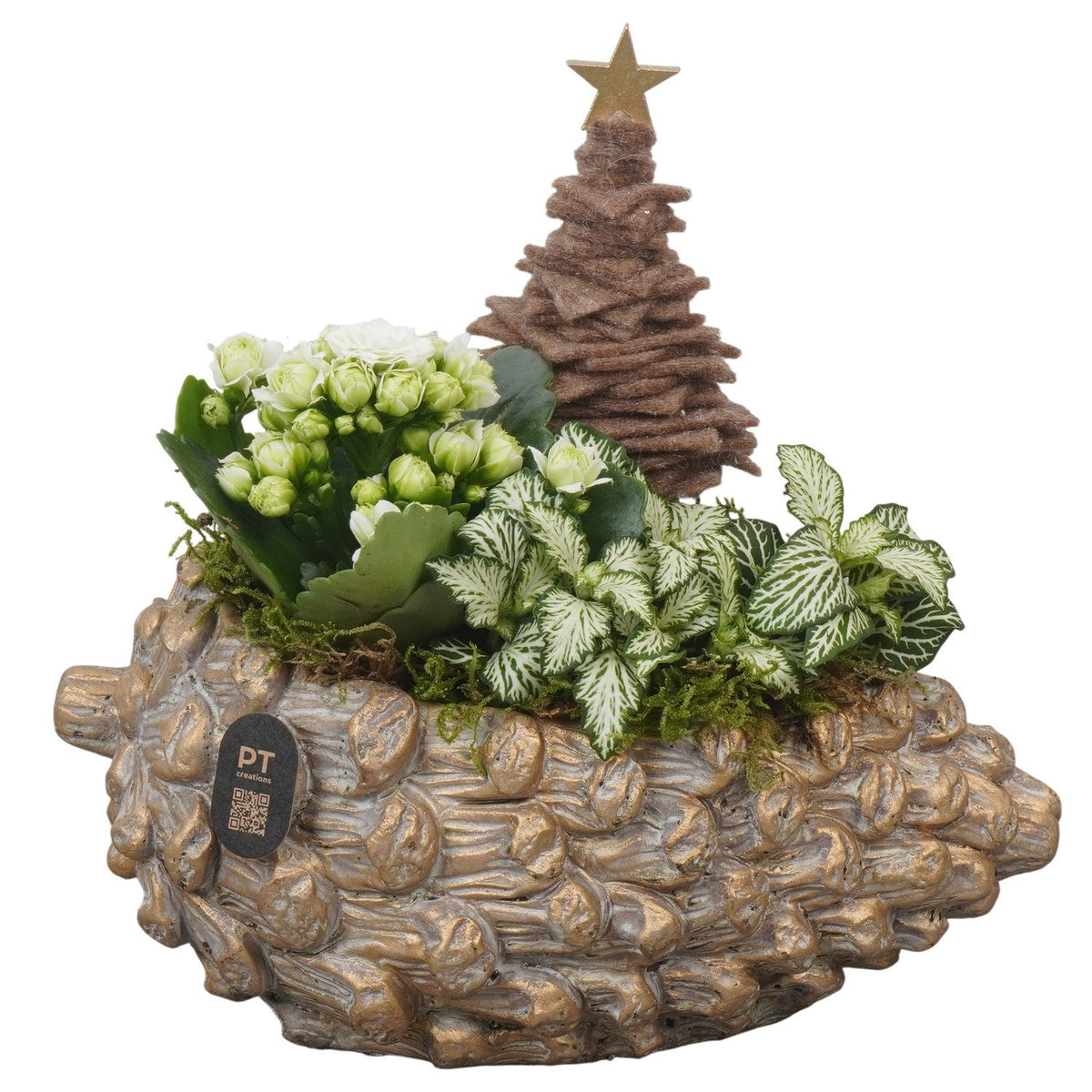 Christmas arrangement 21cm 23cm Pot