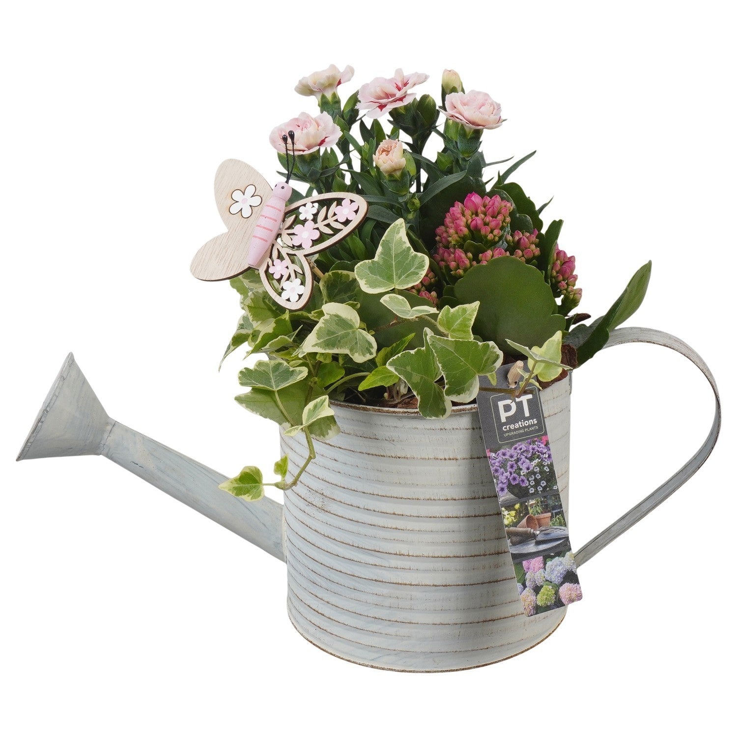Outdoor arrangement 29cm 34cm Pot