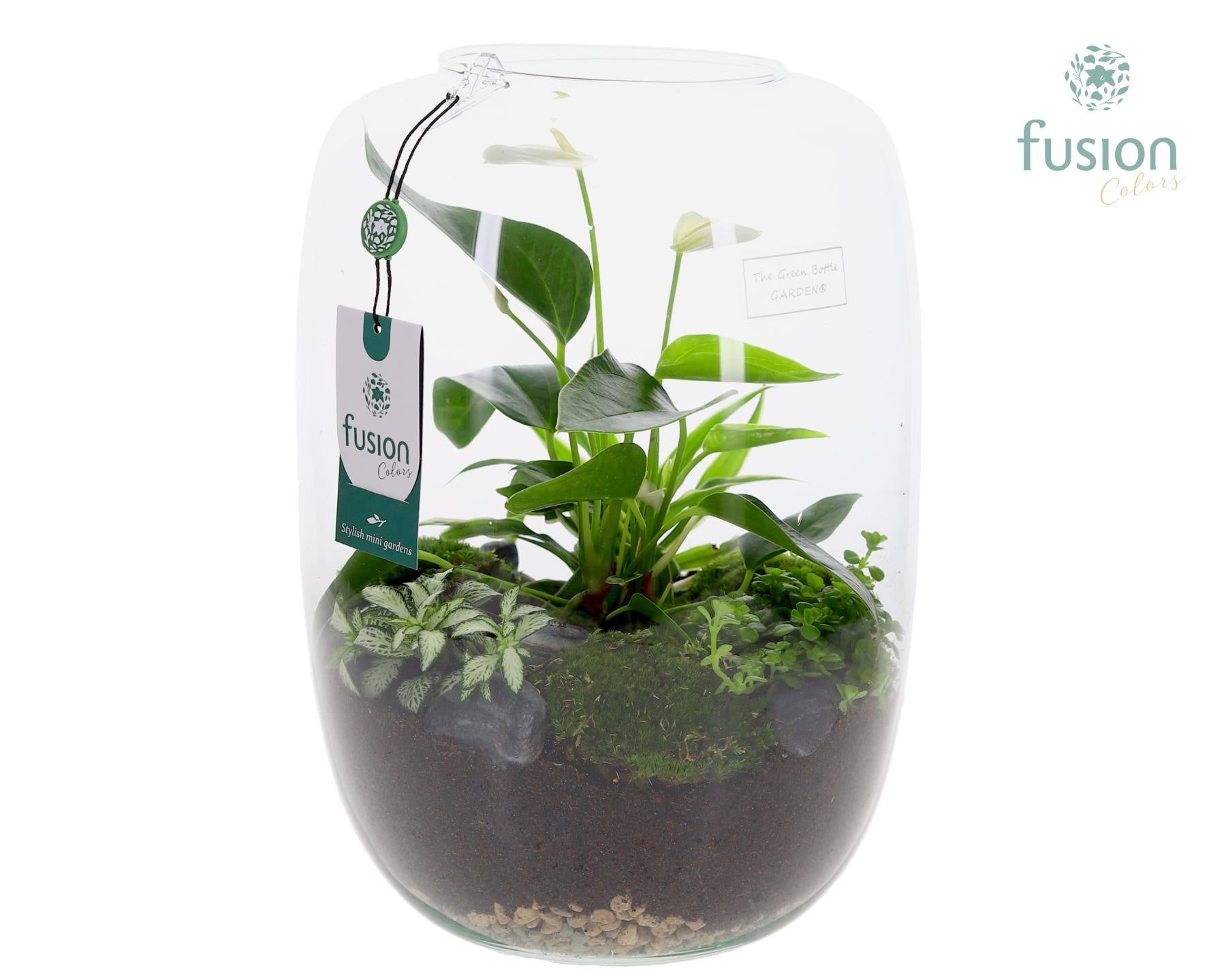 Fusioncolors BV Green Bottle Isabella XLarge met Anthurium arrangement Pack of 2