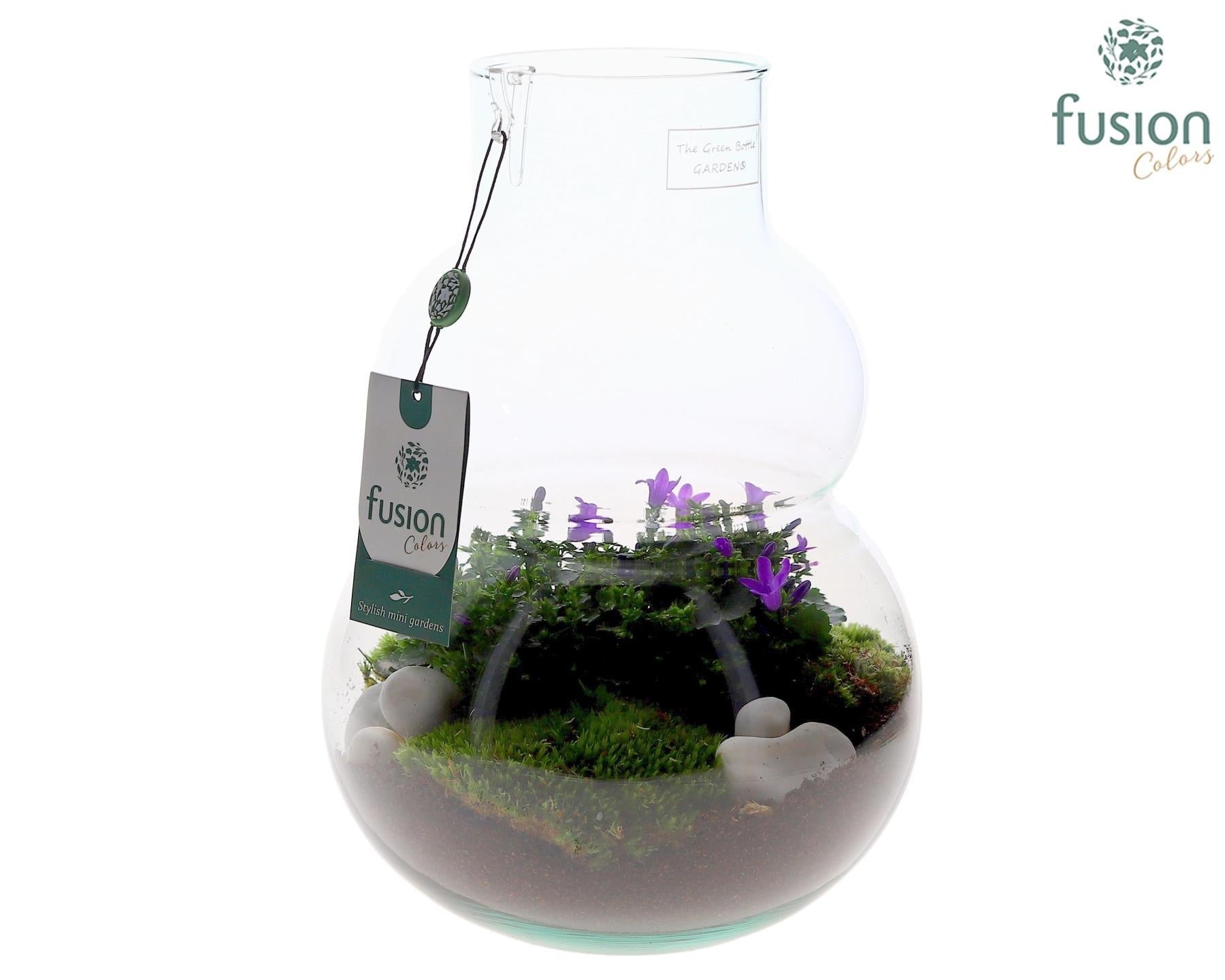Green Bottle Olaf Medium met Campanula 24uur levertijd 29cm 21cm Pot