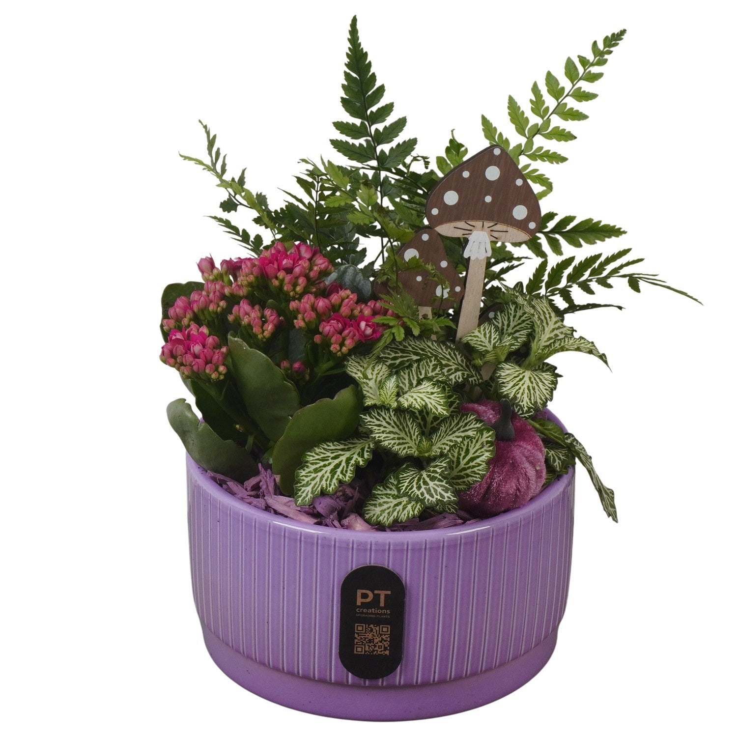 Indoor arrangement 21cm 16cm Pot