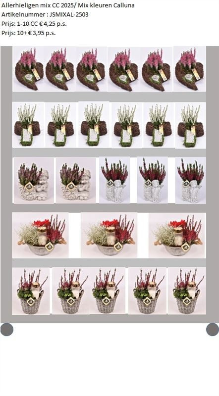 arr. JSAL-2003 999cm Pot