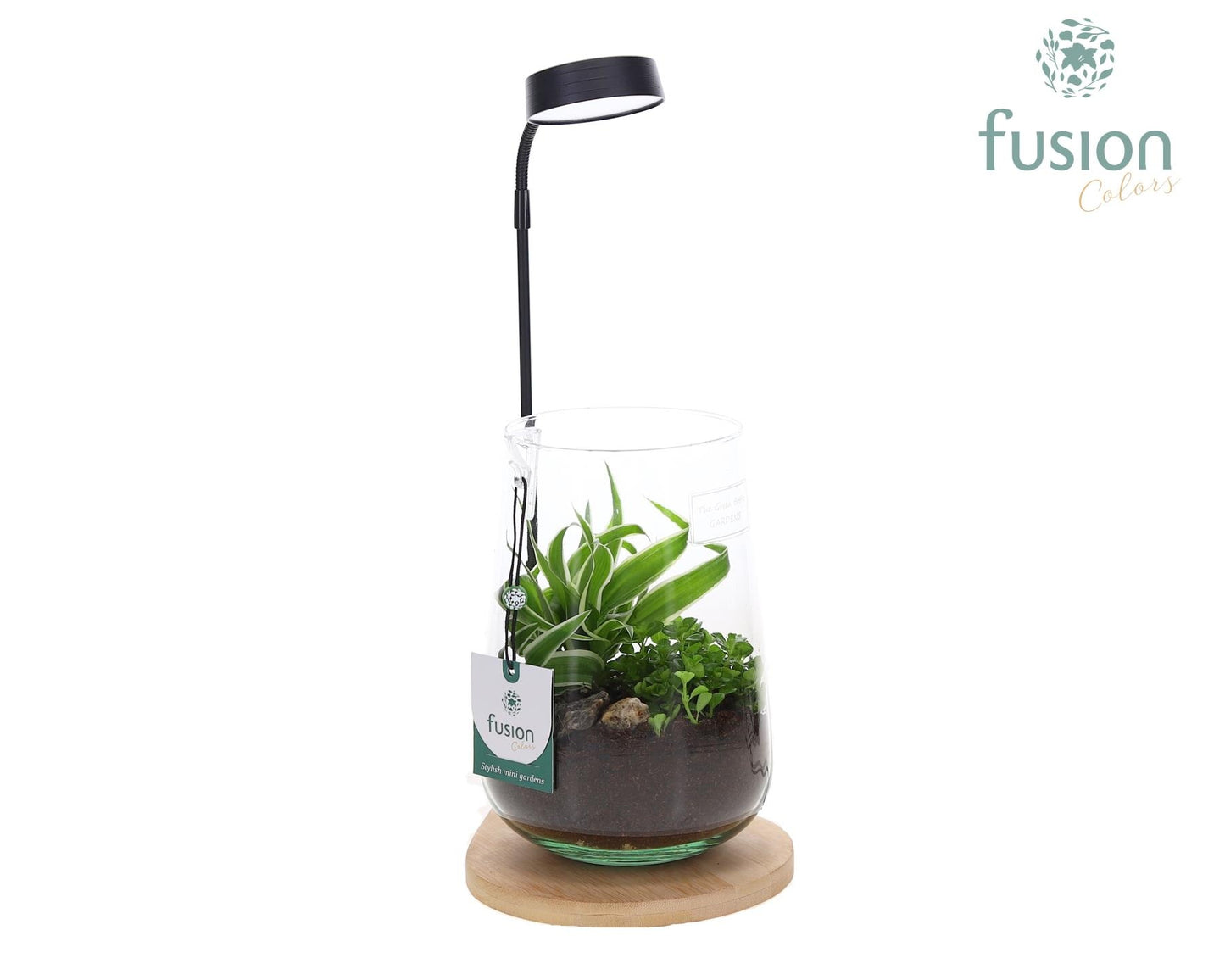 Bamboo plateau met LED licht lamp en vaas en Groen planteno 43cm 15cm Pot