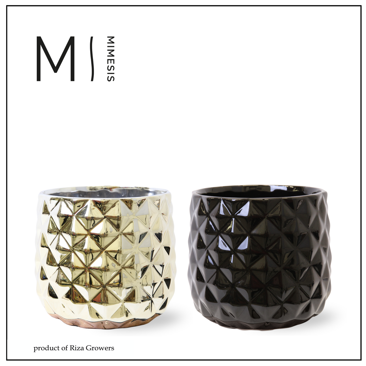 Ceramicpottery