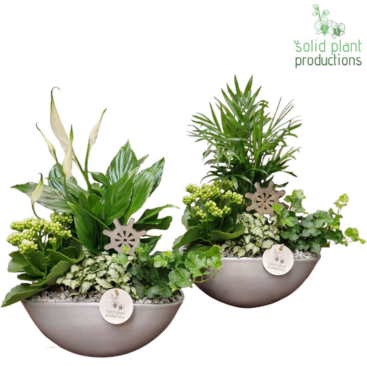 SC005 Eyleen Steel Mix 40cm 25cm Pot