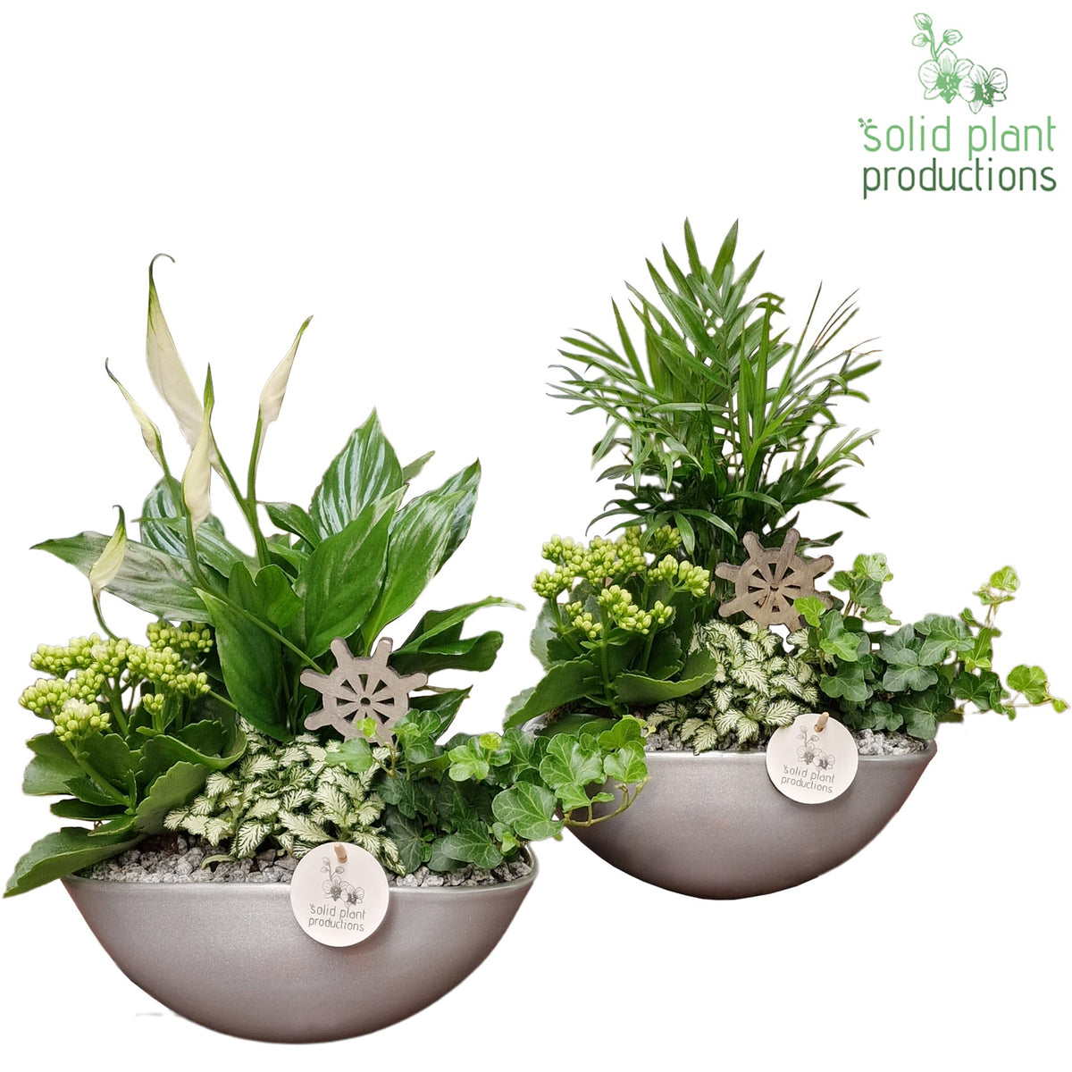 SC005 Eyleen Steel Mix 40cm 25cm Pot
