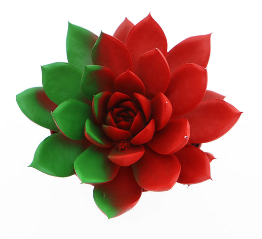 Rainbow Portugal 10cm Special Pot (508)