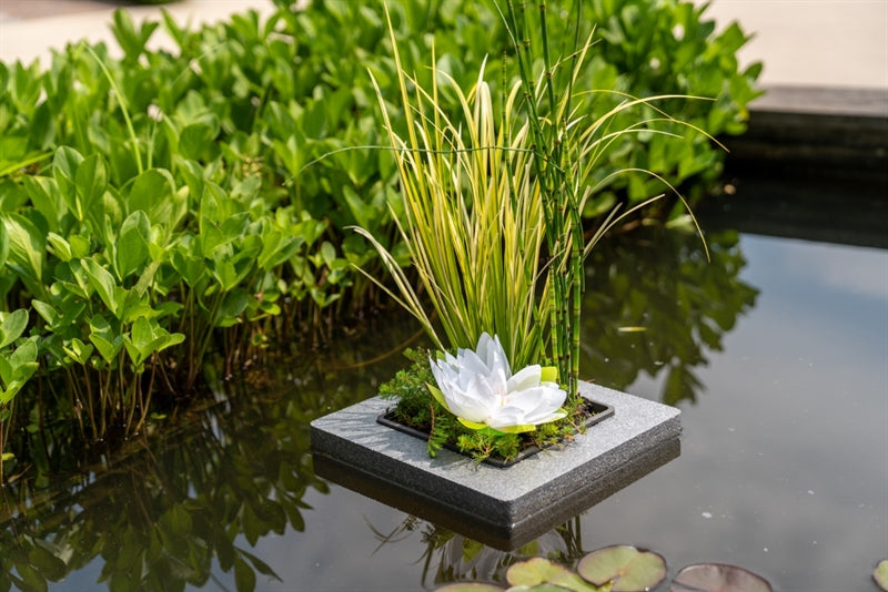 Waterplants mix 50cm 18cm Pot