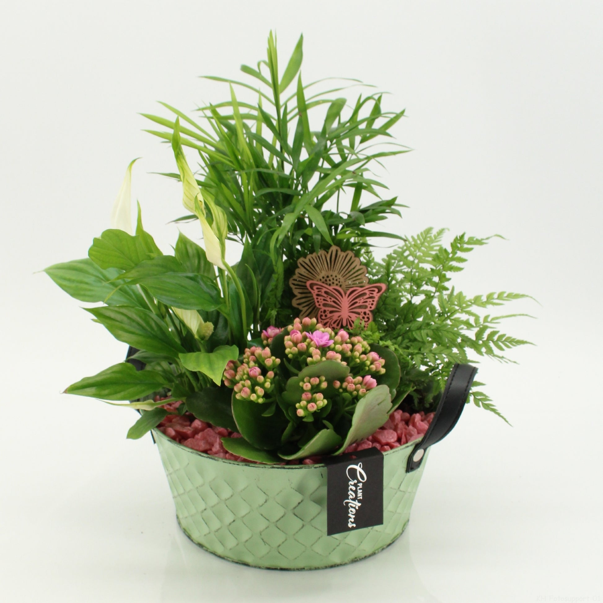 Indoor flowering arrangement 30cm 25cm Pot