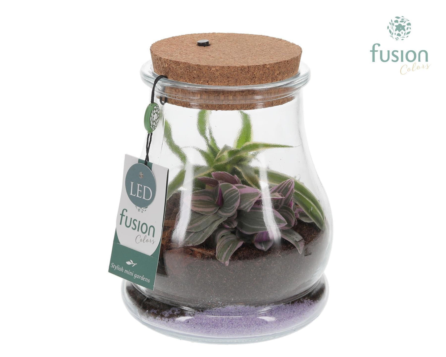 Glas Druppel met Terrarium LED Arrangement 2pp 20cm 16cm Pot