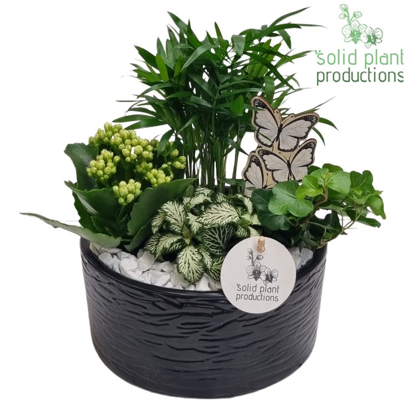 CH003 Loes Black 35cm 18cm Pot