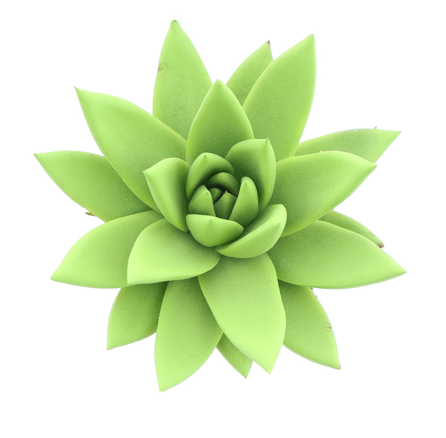 Rainbow yellow green 8cm 6cm Pot
