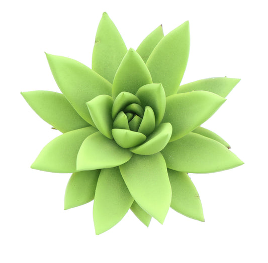 Rainbow yellow green 8cm 6cm Pot