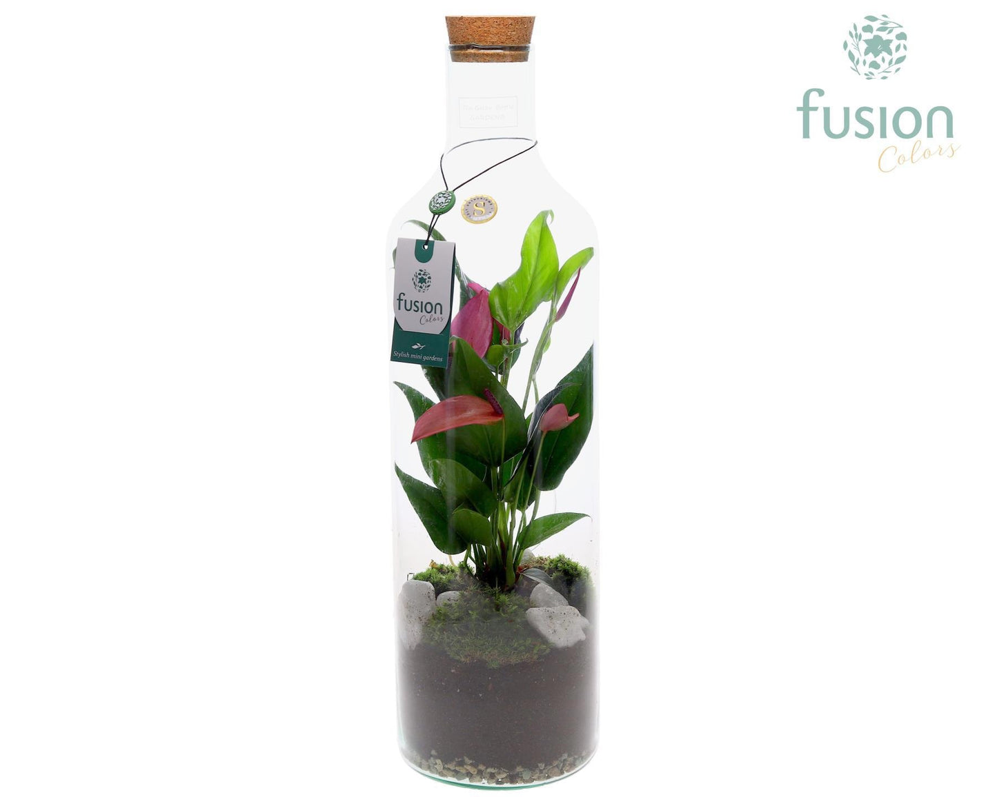 Fusioncolors BV Green Bottle Fles Large met Anthurium Paars Pack of 6