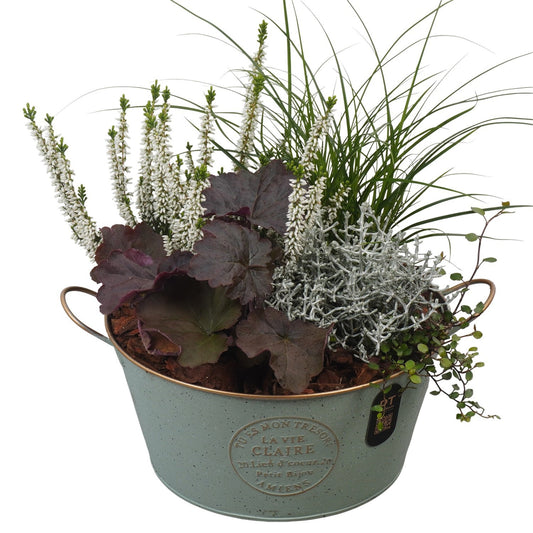 Outdoor arrangement 33cm 23cm Pot