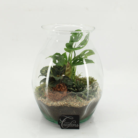 Indoor green arrangement 26cm 22cm Pot