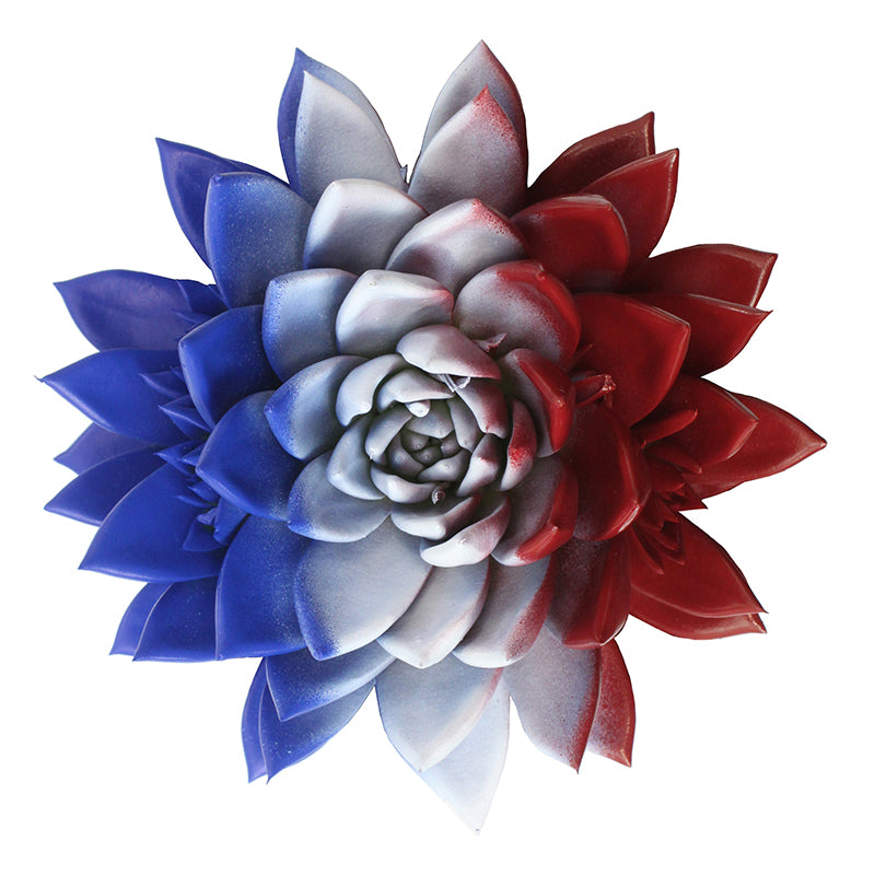 Amigo Plant VOF Miranda coloured flag France Pack of 8
