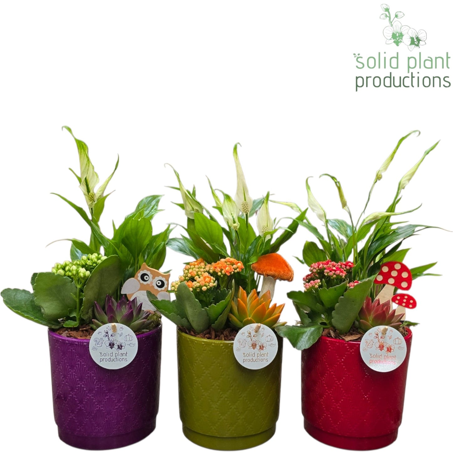 SE001 Amy Autumn Mix 38cm 13cm Pot