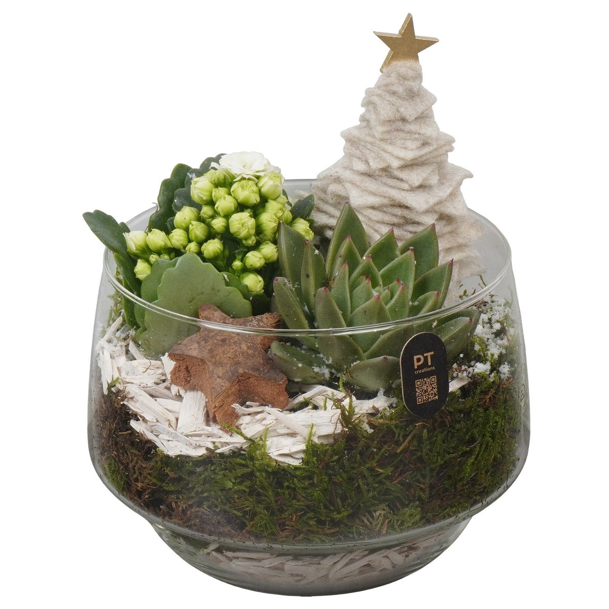 Christmas arrangement 20cm 16cm Pot