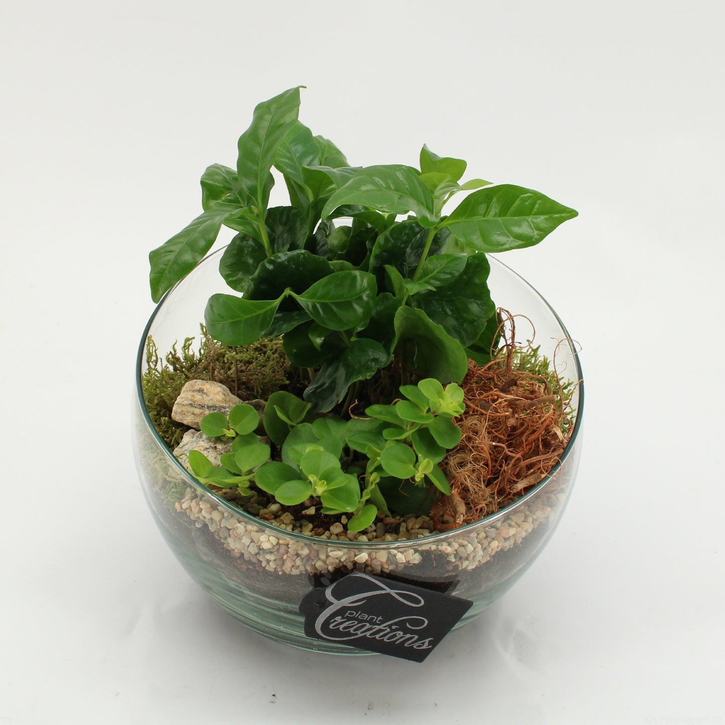 GRCR-2601 Green Essentials 20cm 18cm Pot