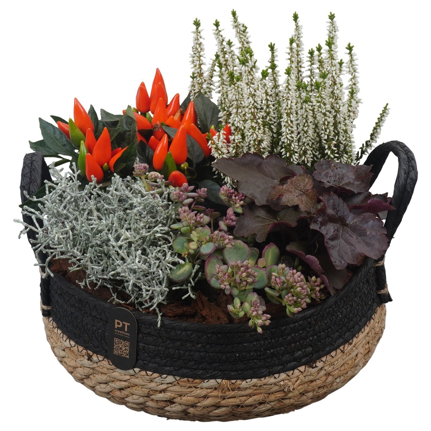 Outdoor arrangement 29cm 26cm Pot