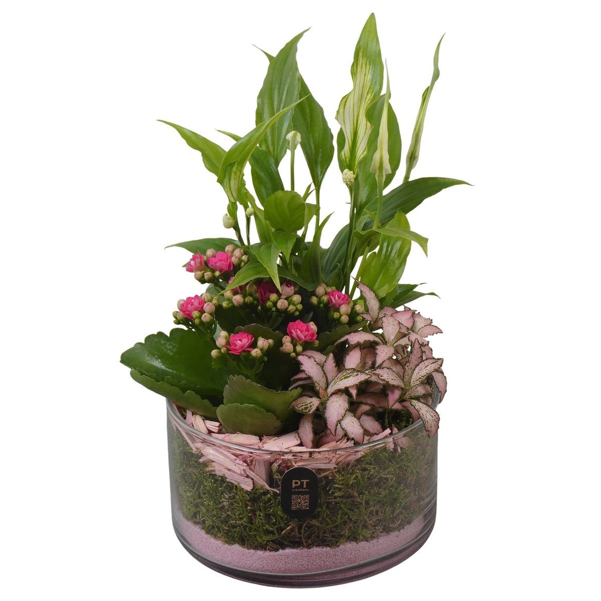 Indoor arrangement 28cm 14cm Pot