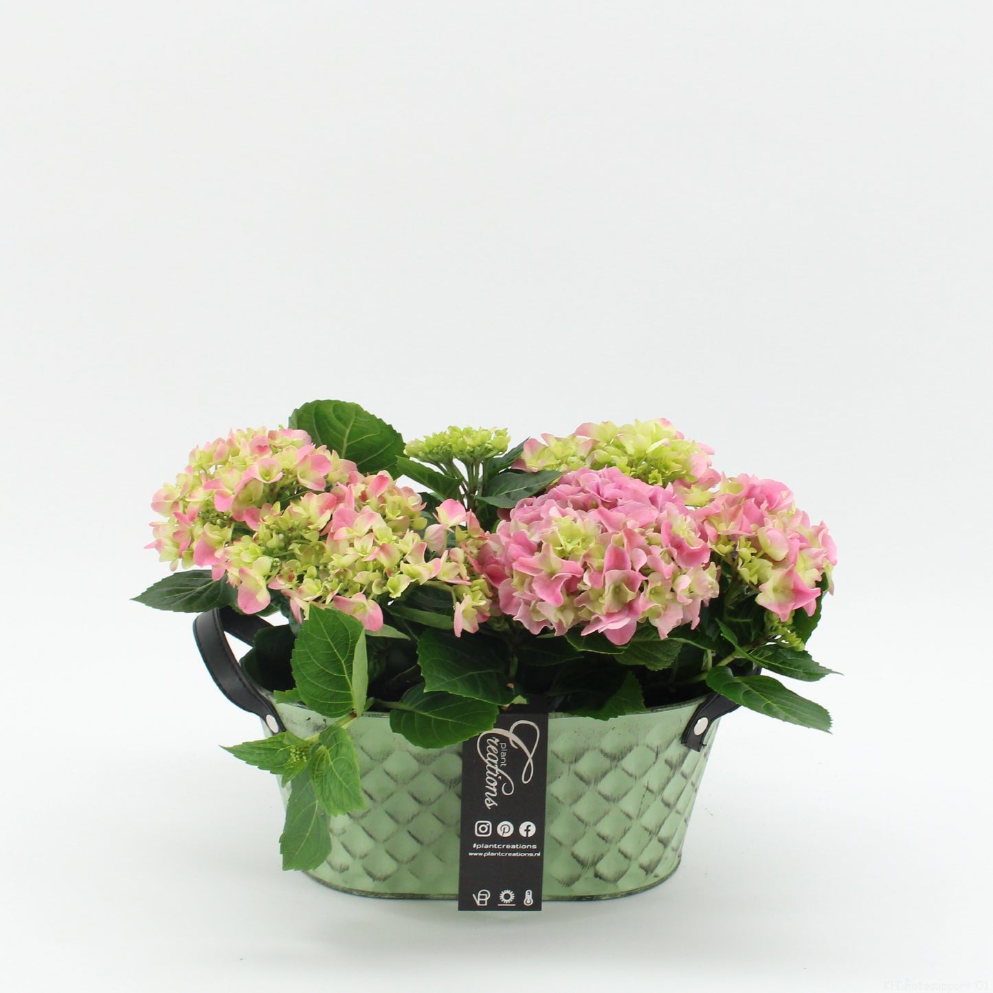 KHCR-2623RZ Hydrangea creatie 30cm 25cm Pot