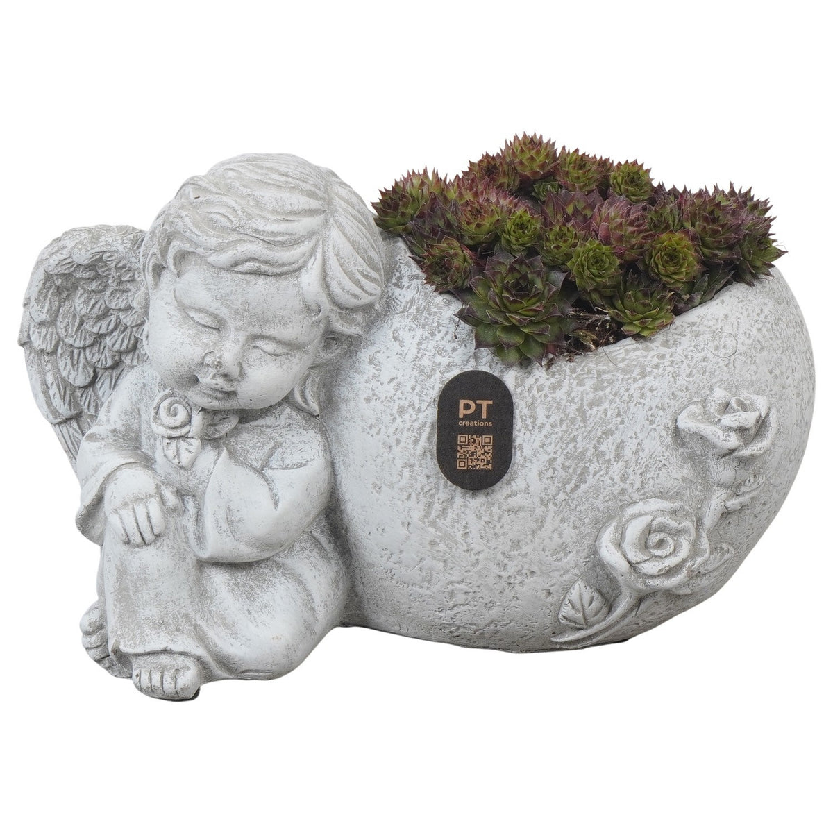 arr. all saints day 12cm 21cm Pot