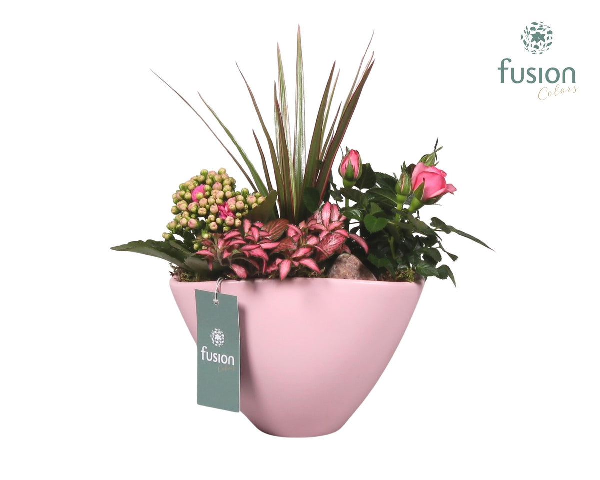 Fusioncolors BV Pot keramiek ovaal Medium licht roze met Arrangement Pack of 4