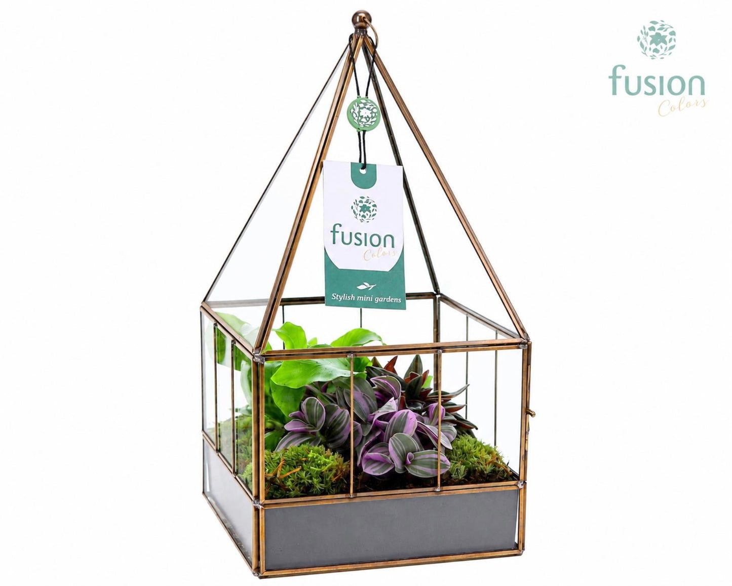 Glazen terrarium huis met arrangemet 29cm 16cm Pot