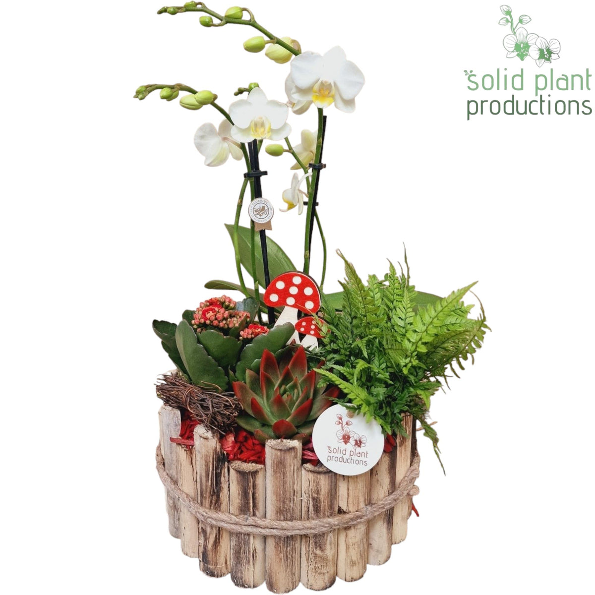 HPE002 Milano Large Autumn Red 45cm 23cm Pot