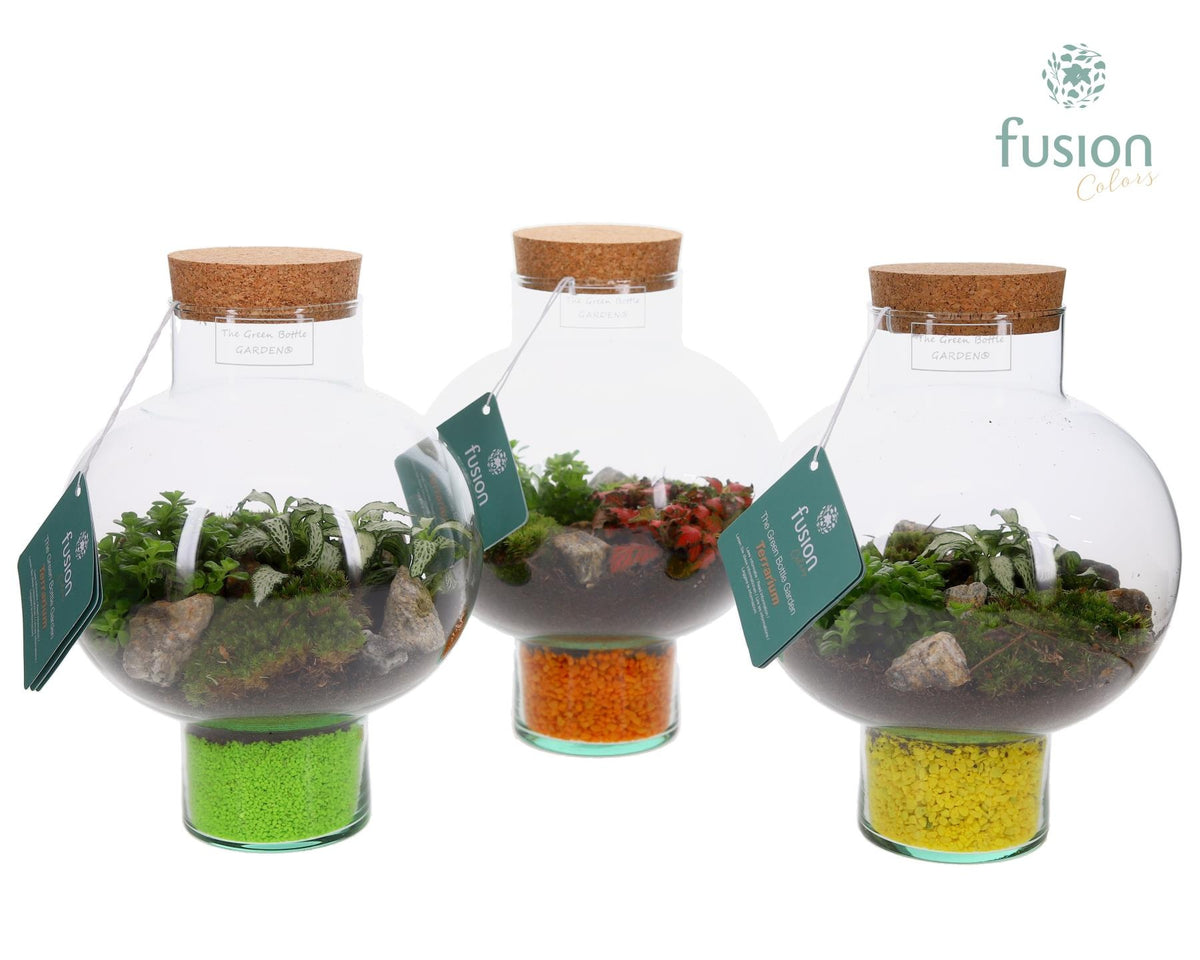 Green Bottle Laura Small met Terrarium arrangement 25cm 20cm Pot