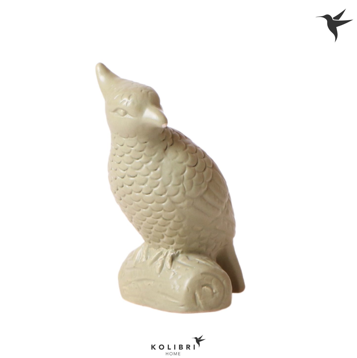 OK Plant Kolibri Home Cockatoo green Pack of 6