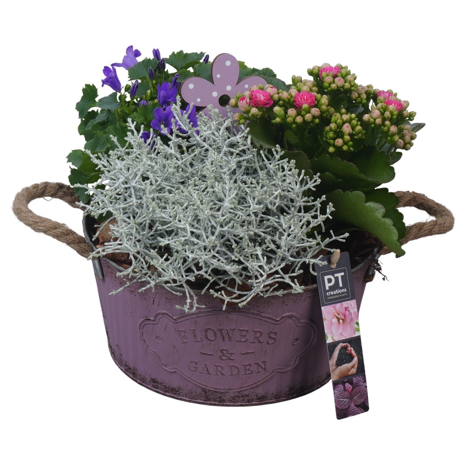 Outdoor arrangement 22cm 22cm Pot