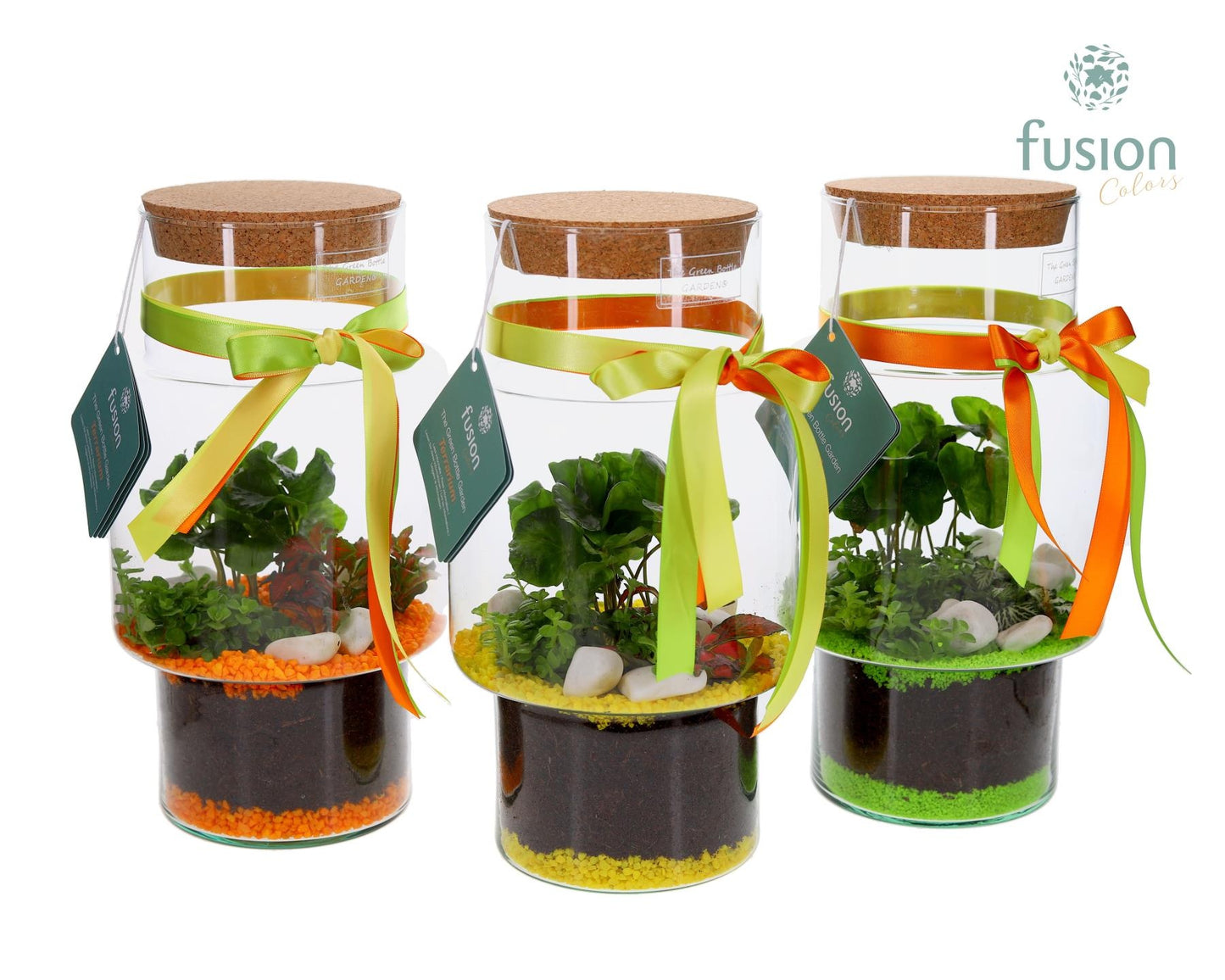 Green Bottle Sara Medium met Terrarium Arrangement 29cm 16cm Pot