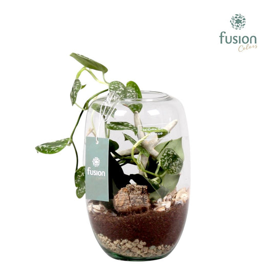 Green Bottle Isabella Small met Skindapsus 29cm 15cm Pot