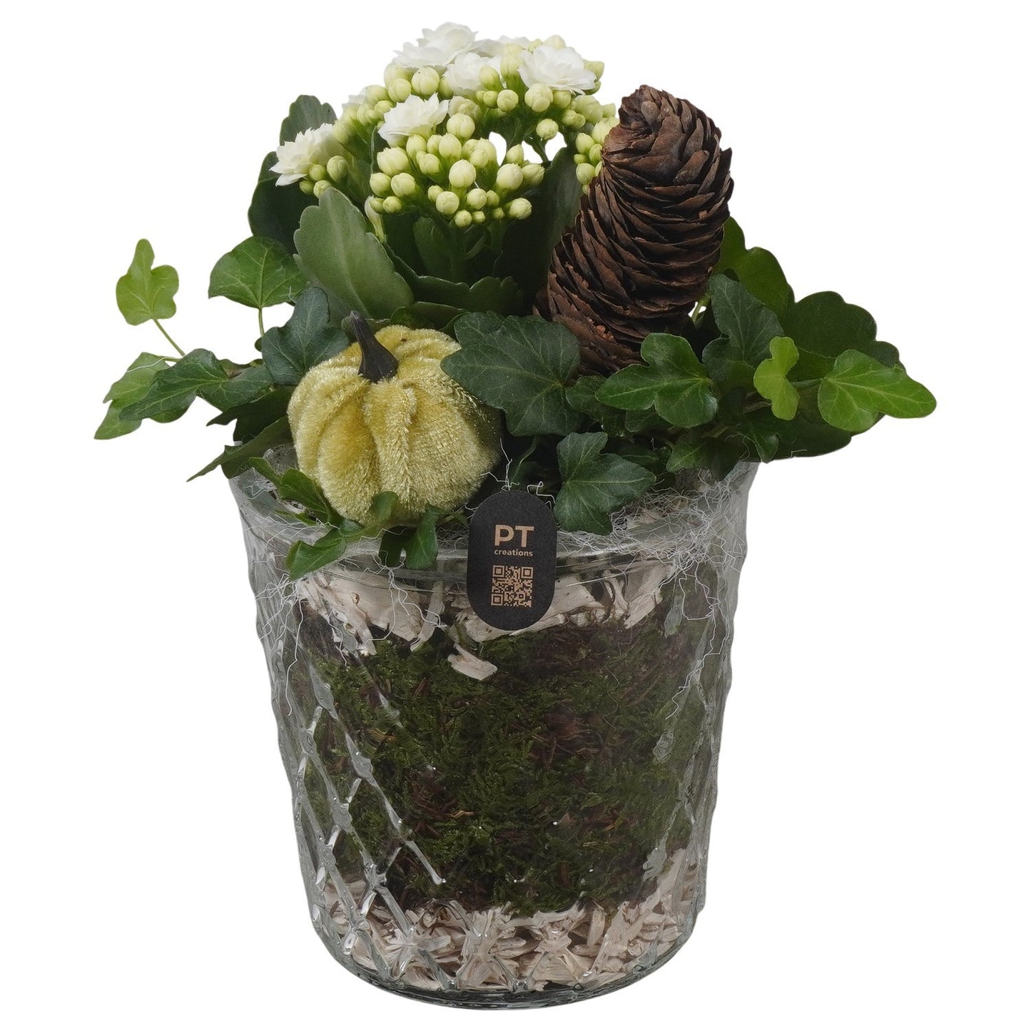Indoor arrangement 20cm 12cm Pot