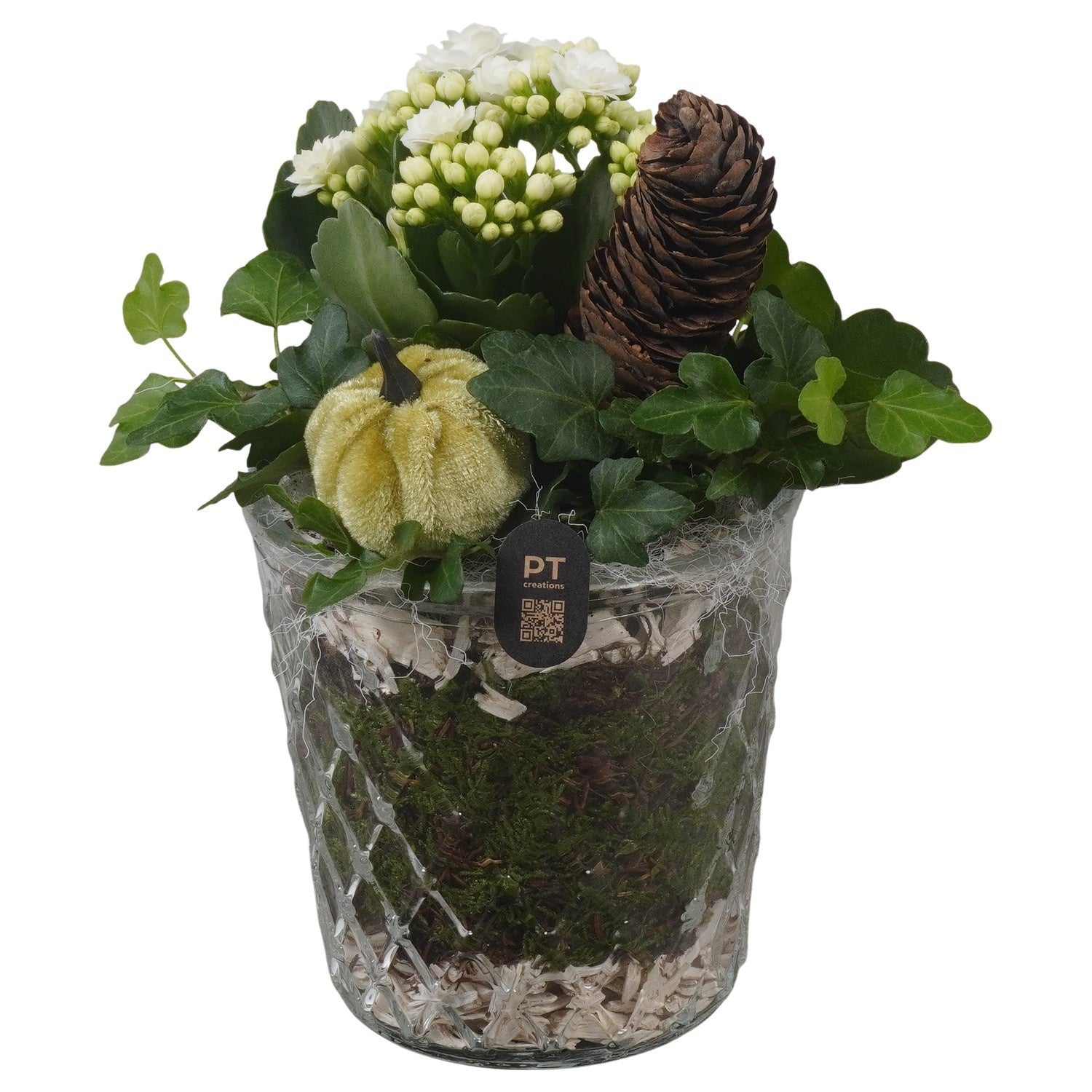 Indoor arrangement 20cm 12cm Pot