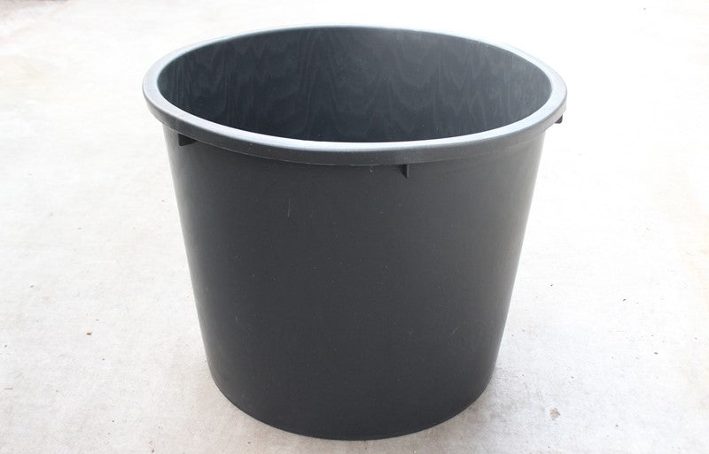 Plants 65cm 80cm Pot