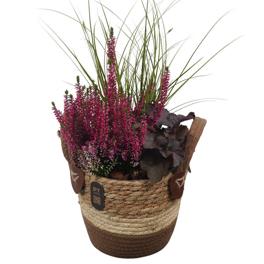 Outdoor arrangement 53cm 18cm Pot
