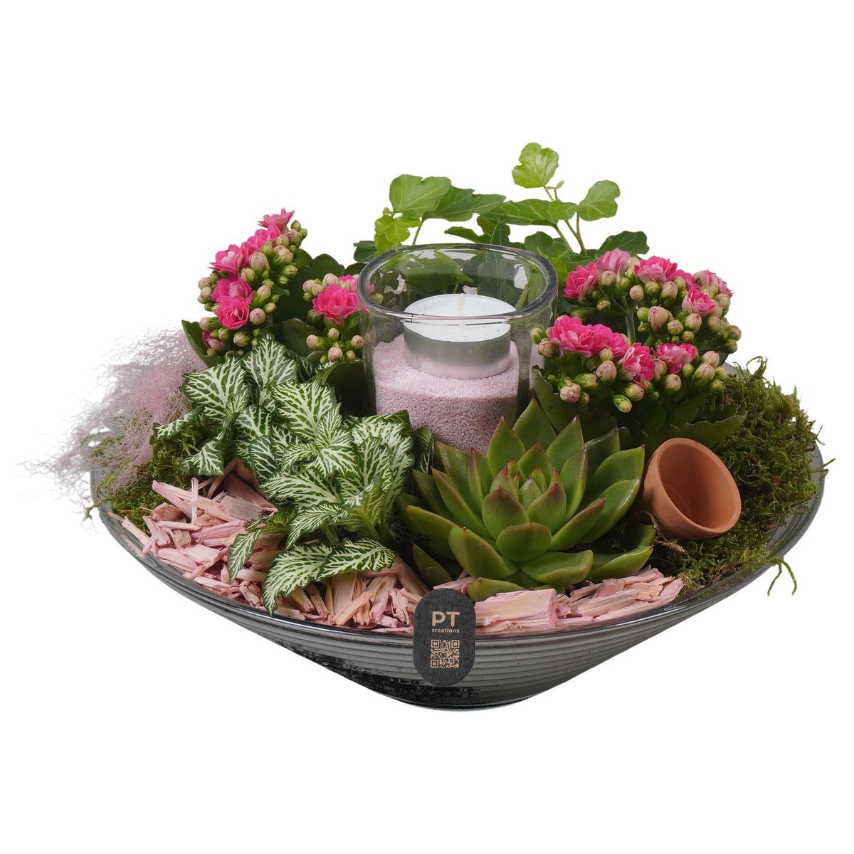 Indoor arrangement 18cm 26cm Pot