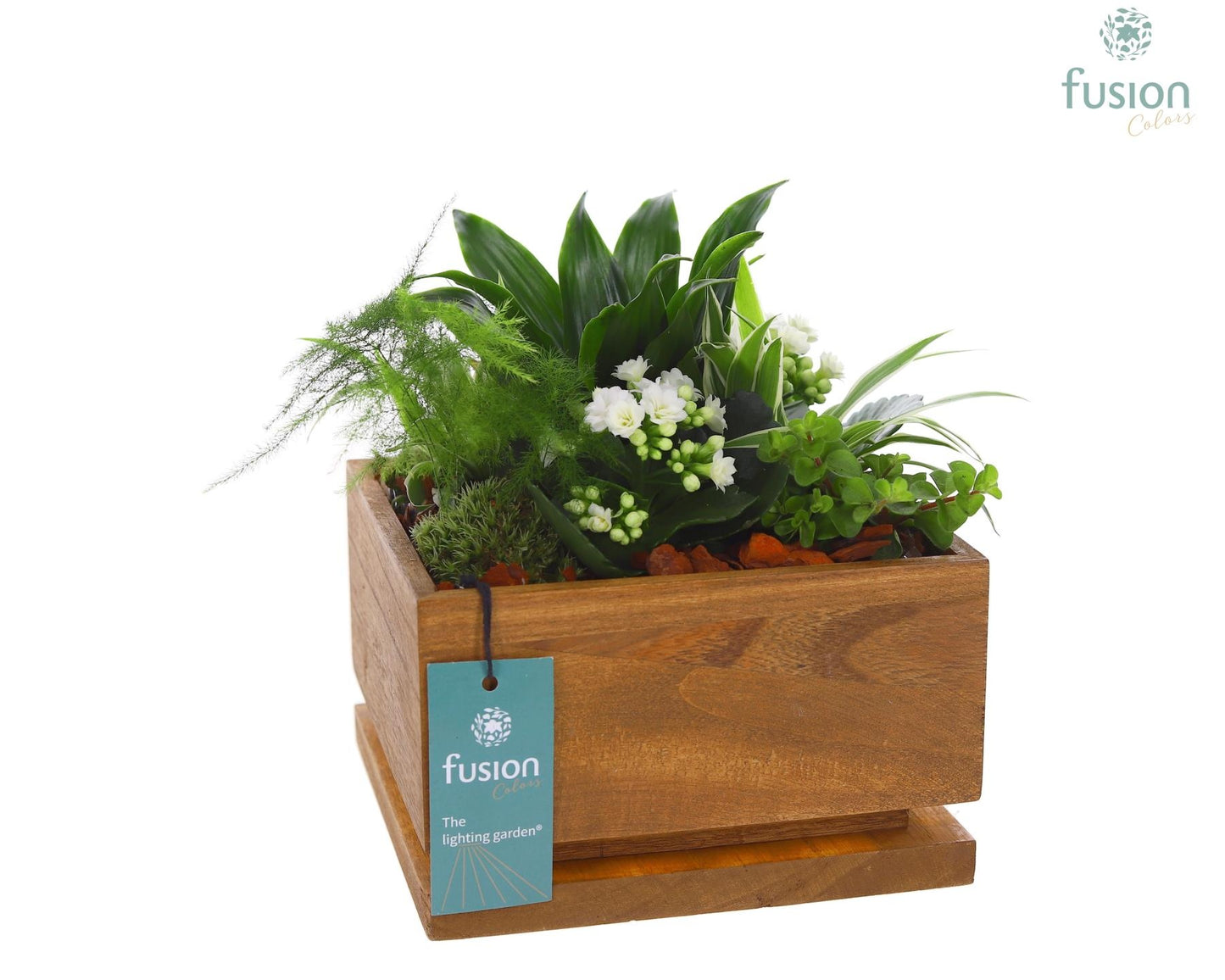 The Lighting Garden LED Large met arrangement 29cm 19cm Pot