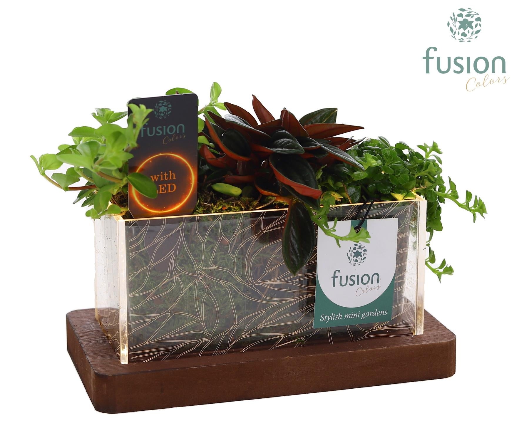 Fusioncolors BV Acryl bakje LED rechthoek met groen Arrangement 3pp Pack of 7