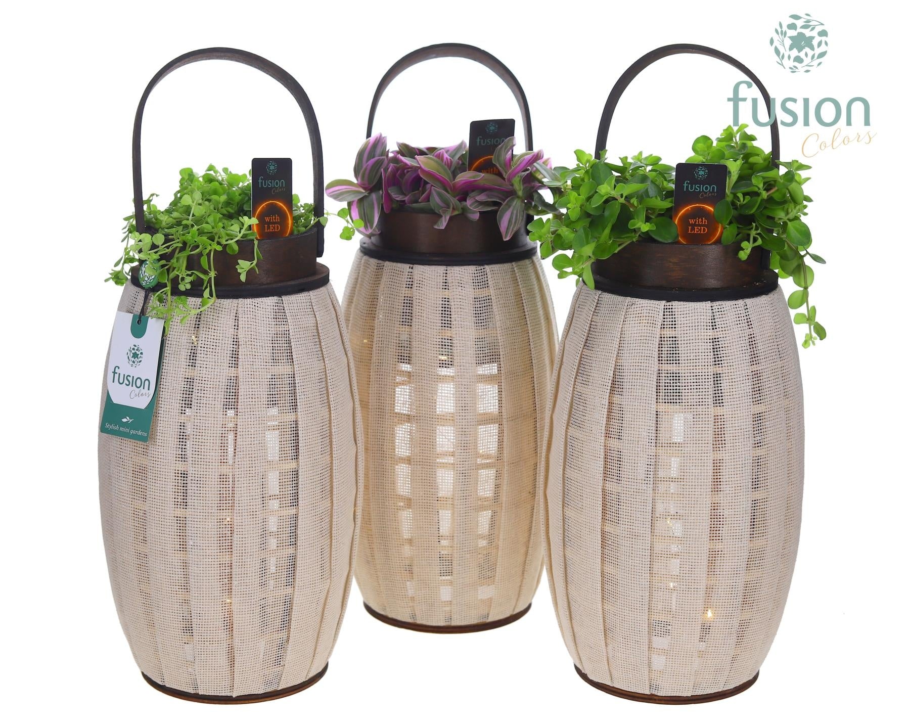 Fusioncolors BV Houten Lantaarn met groenmix met 12 LED verlichting batterij Pack of 3