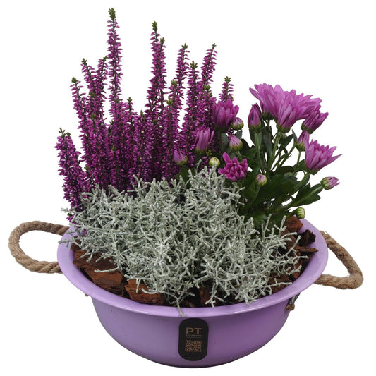 Outdoor arrangement 28cm 24cm Pot