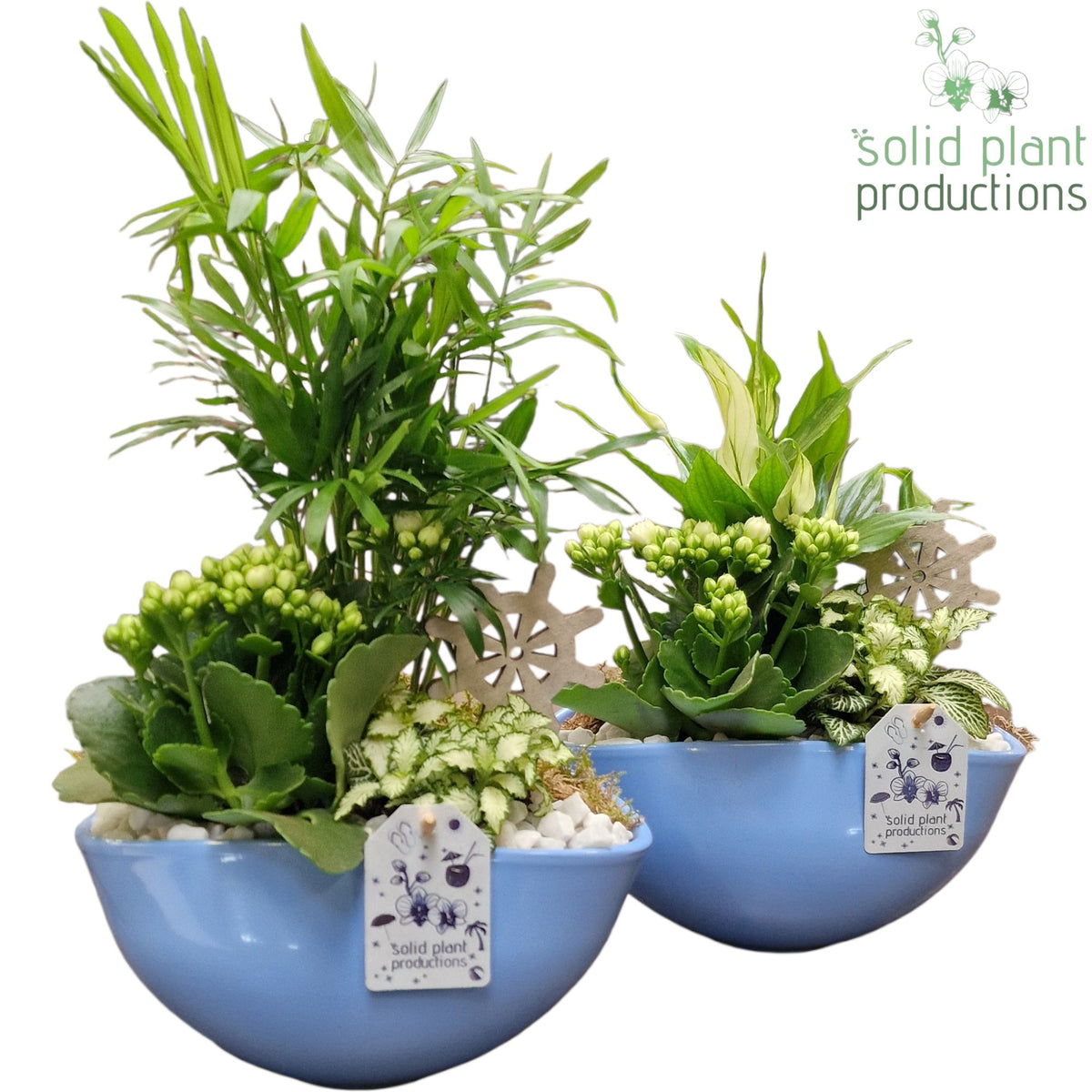 SC005 Evelyn Blue Mix 40cm 25cm Pot