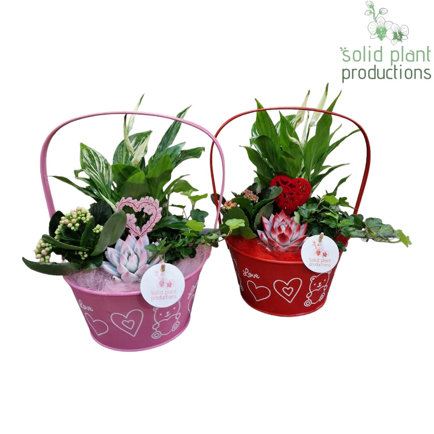 ZVS003 Joyce Red/Pink 35cm 23cm Pot